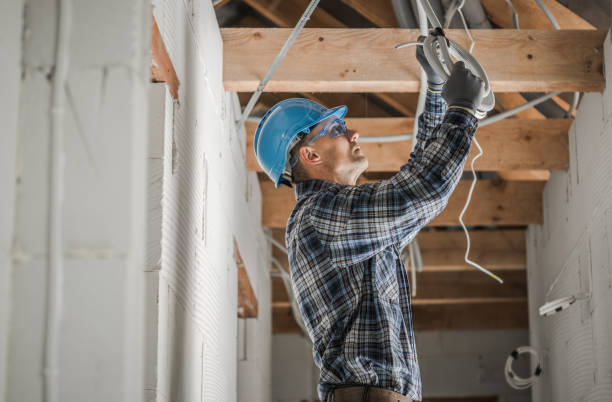 Best Electrical Repair Services  in Palo, IA