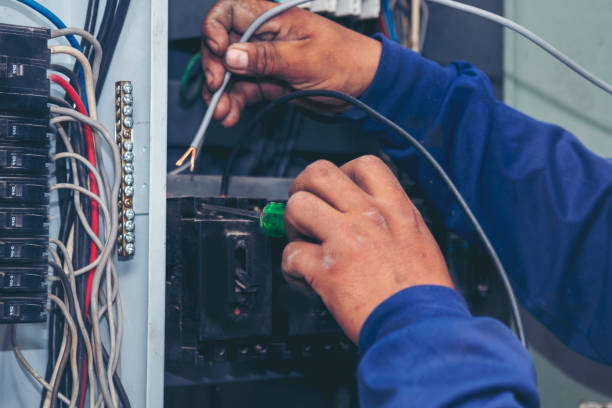 Best Electric Panel Repair  in Palo, IA